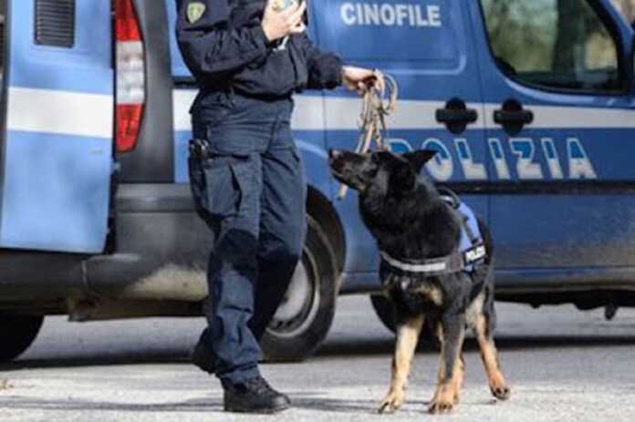 Unità cinofile Polizia
