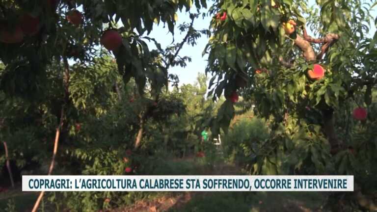 COPRAGRI: L’AGRICOLTURA CALABRESE STA SOFFRENDO, OCCORRE INTERVENIRE
