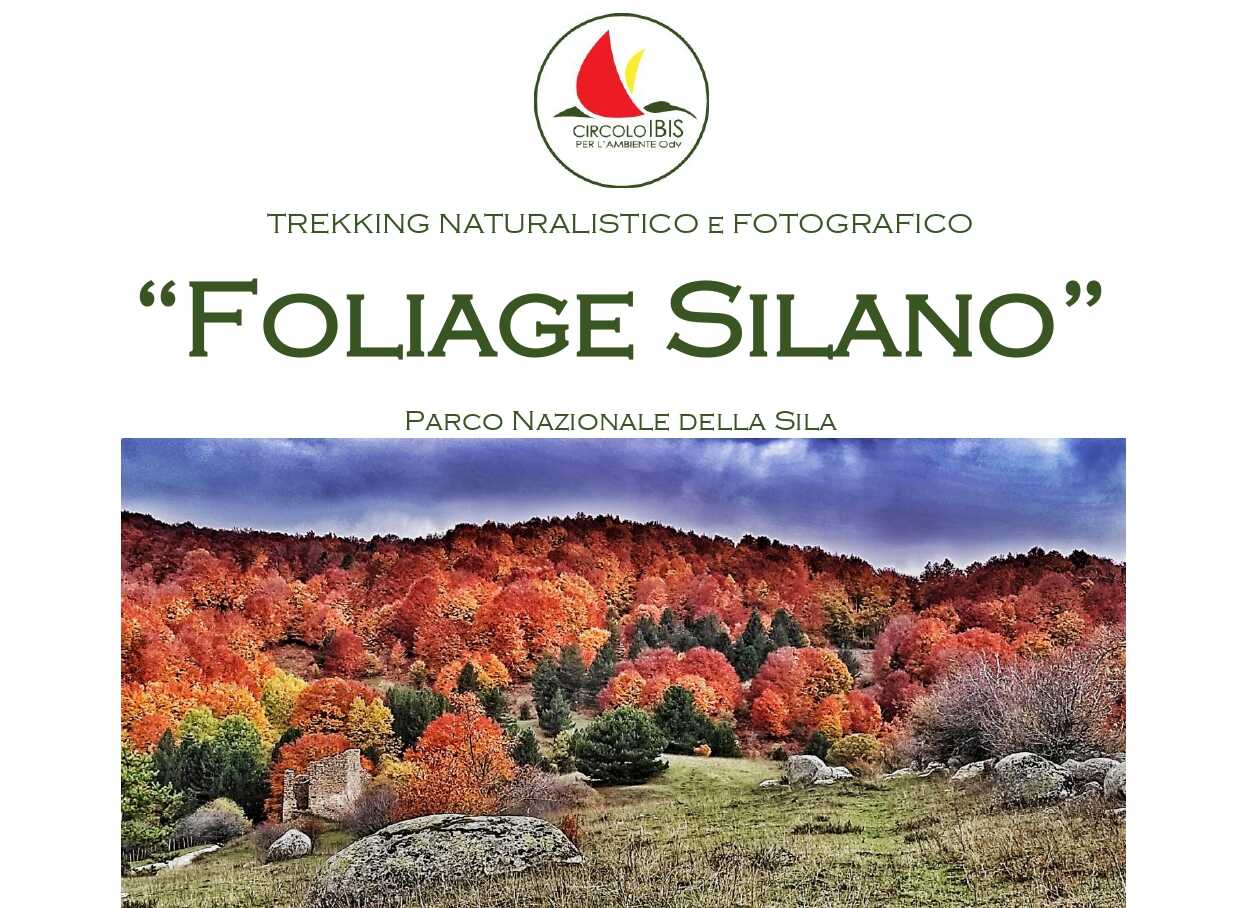 Crotone, il Circolo IBIS organizza trekking naturalistico e fotografico per ammirare lo spettacolo dell’autunno silano