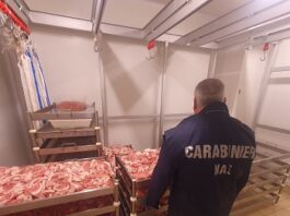 Catanzaro, controlli nei mercati e negli esercizi commerciali, sequestrati oltre 150 kg di alimenti irregolari