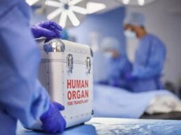 LA VICENDA DI TOMMASO NON FACCIA PERDERE FIDUCIA NEI TRAPIANTI