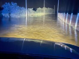 Fiume Crati rompe gli argini, allagate contrade